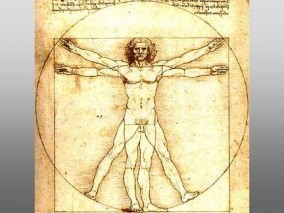 curiozitati ale corpului uman da vinci