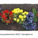 sustine ziua pamantului 2012